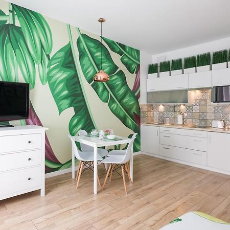 Cozy Modern Studio Green Apartment In Old Town Cracovia Esterno foto